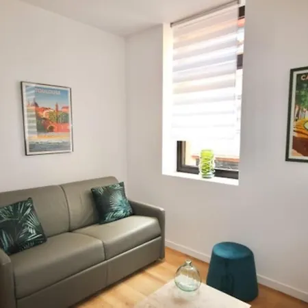 Au Gout Du Jour Climatise Apartment Toulouse Exterior photo
